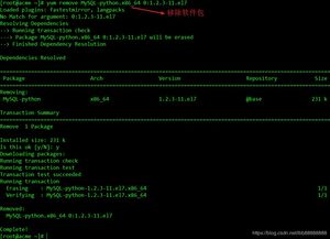 高效便捷 在Linux系统中使用Yum安装软件与服务的完整指南