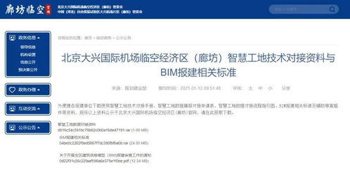 北京大兴国际机场临空经济区（廊坊）全域推广BIM技术，配套标准体系护航全流程报建审查